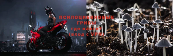 прущие грибы Волосово
