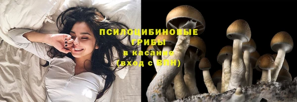 шишки Володарск