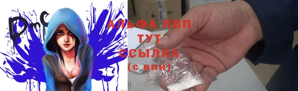 прущие грибы Волосово
