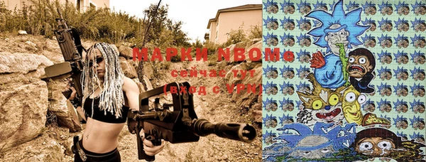 прущие грибы Волосово