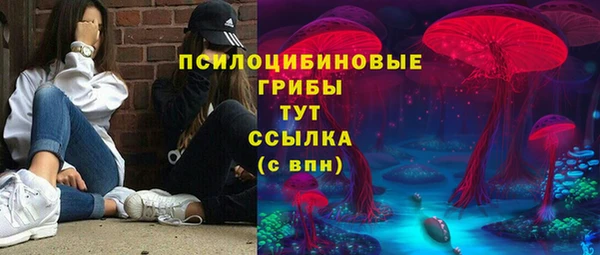 шишки Володарск